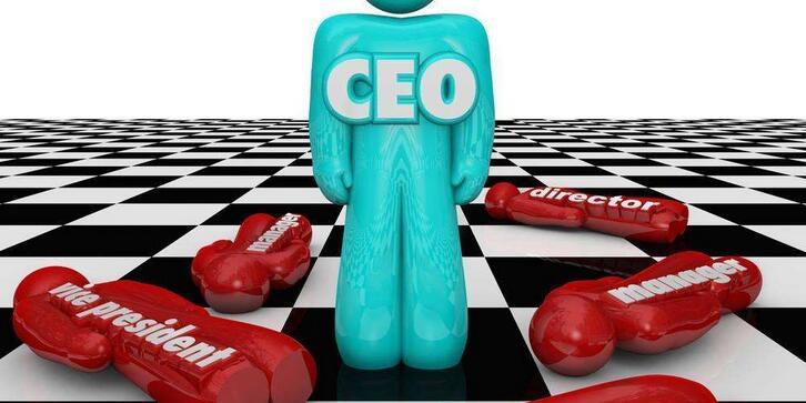What Does CEO Stand for
