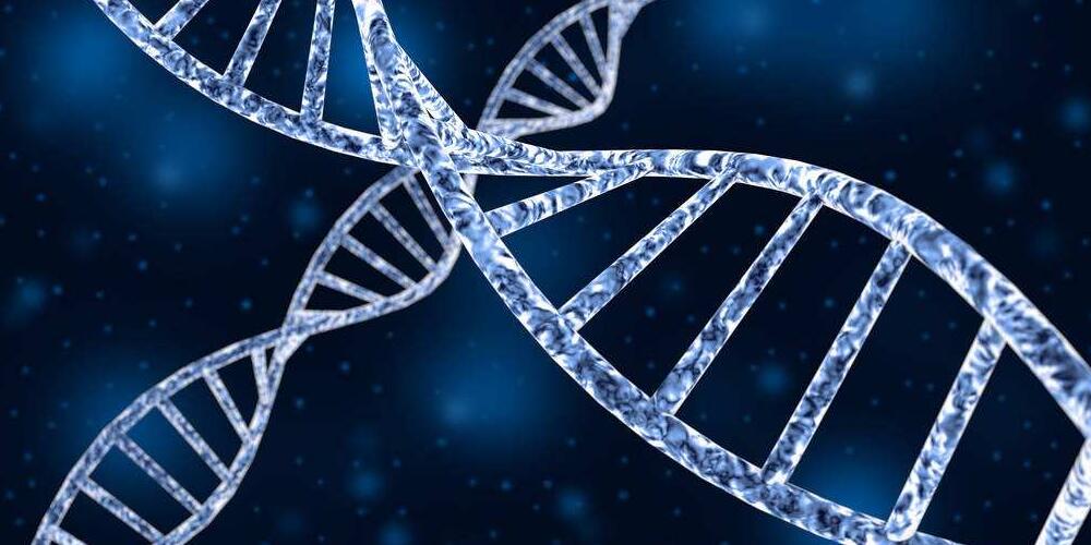 What Does DNA and RNA Stand for