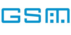 What Does GSM Stand for
