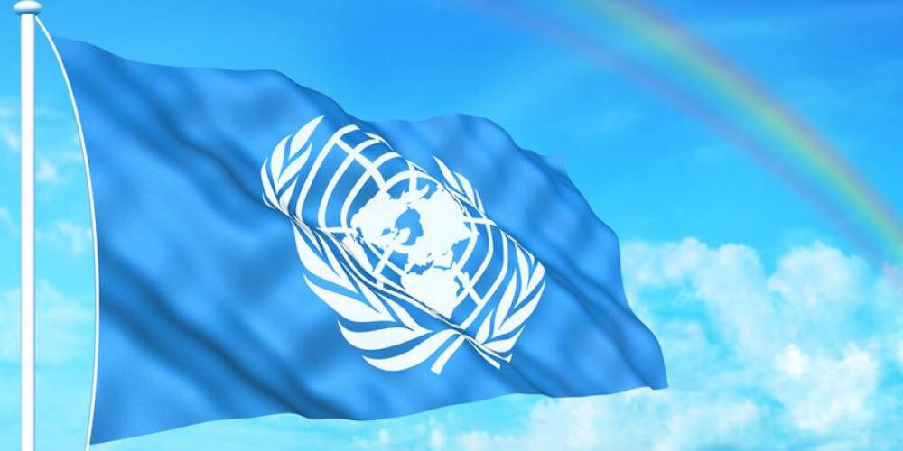 What Does UNDP Stand for