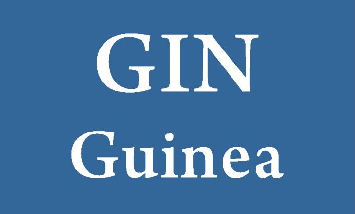Three-Letter Country Code for Guinea