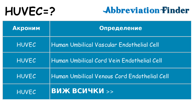Какво прави huvec престои
