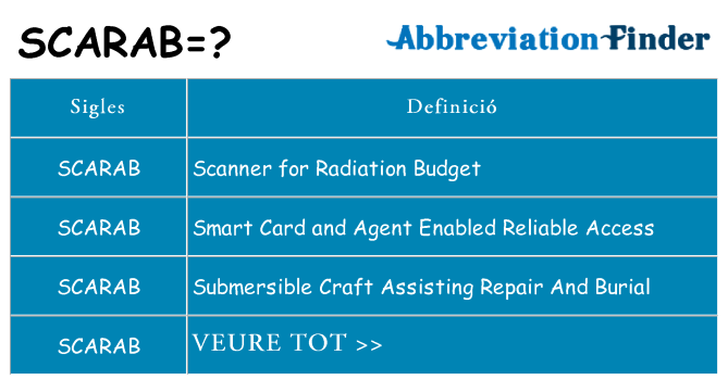 Què representen scarab