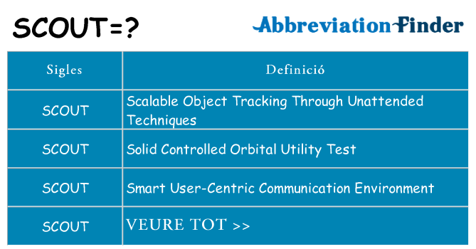 Què representen scout
