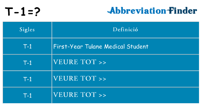 Què representen t-1