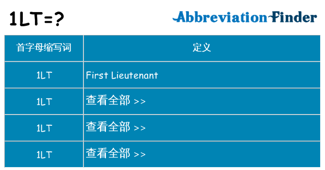 1lt 代表什么