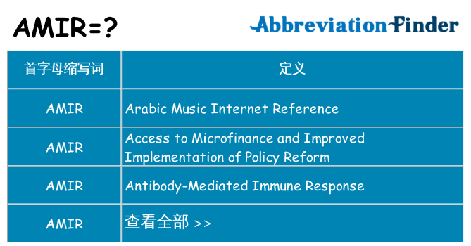 amir 代表什么
