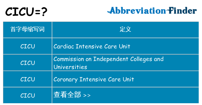 cicu 代表什么