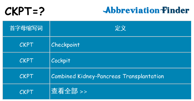 ckpt 代表什么