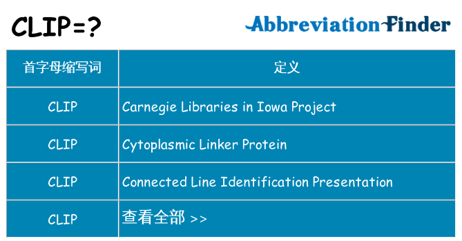 clip 代表什么