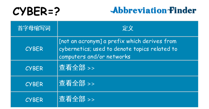 cyber 代表什么