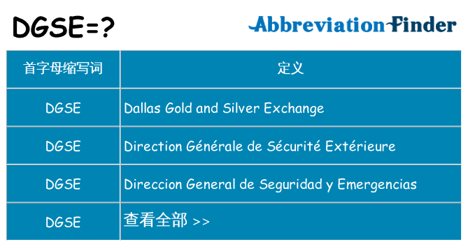 dgse 代表什么