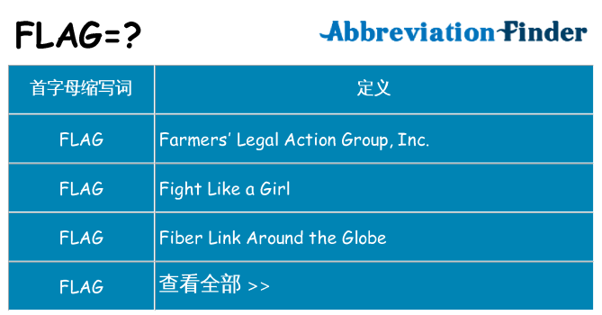 flag 代表什么