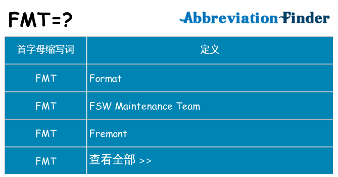 fmt 代表什么