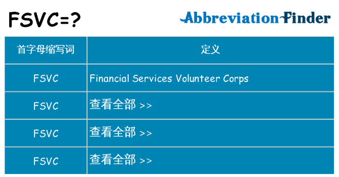 fsvc 代表什么
