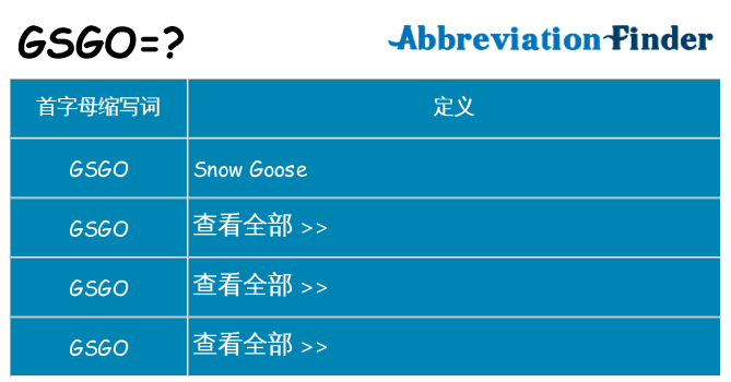 gsgo 代表什么