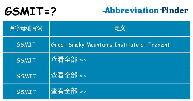 gsmit 代表什么