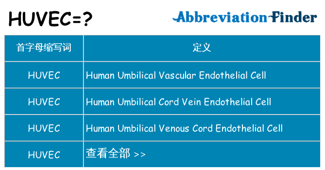 huvec 代表什么