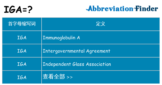 iga 代表什么