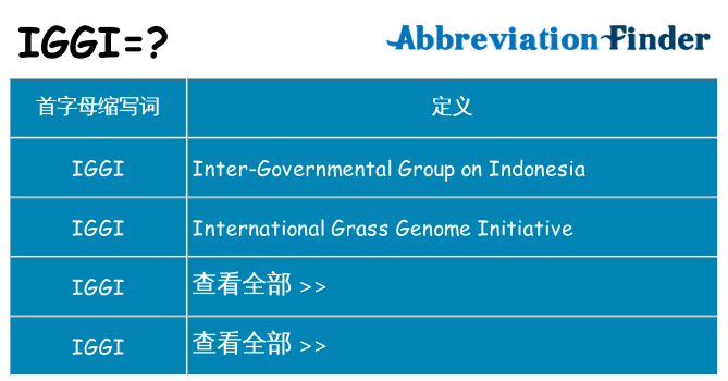 iggi 代表什么