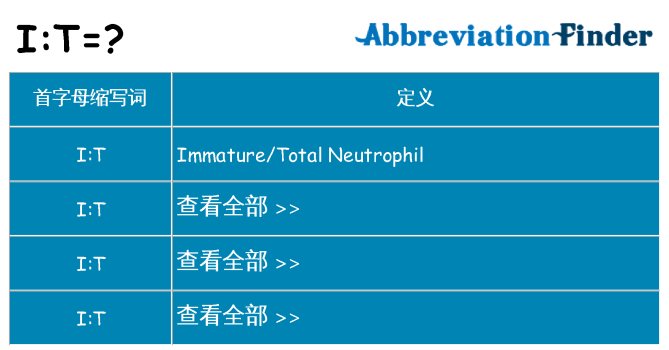 it 代表什么