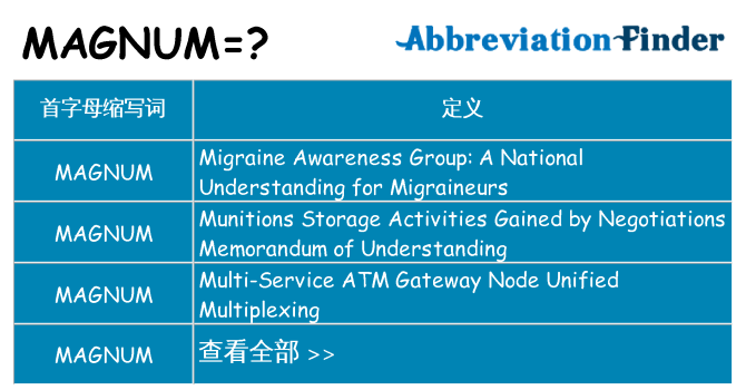 magnum 代表什么