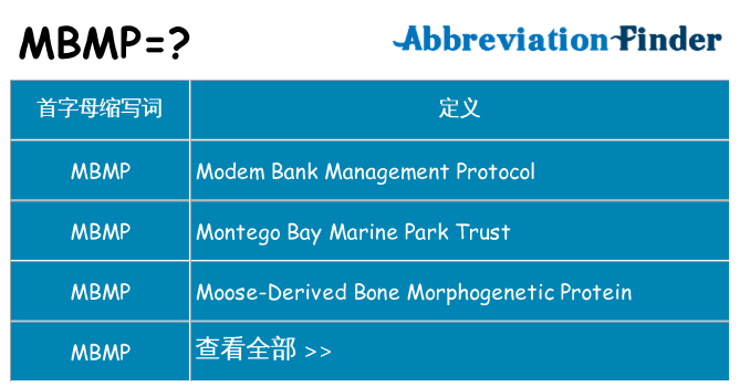 mbmp 代表什么