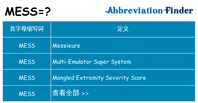 mess 代表什么