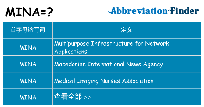 mina 代表什么
