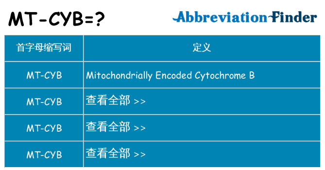 mt-cyb 代表什么