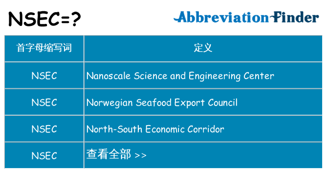 nsec 代表什么