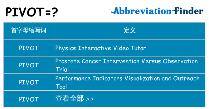 pivot 代表什么