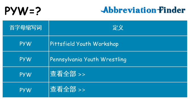 pyw 代表什么