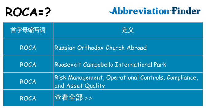 roca 代表什么