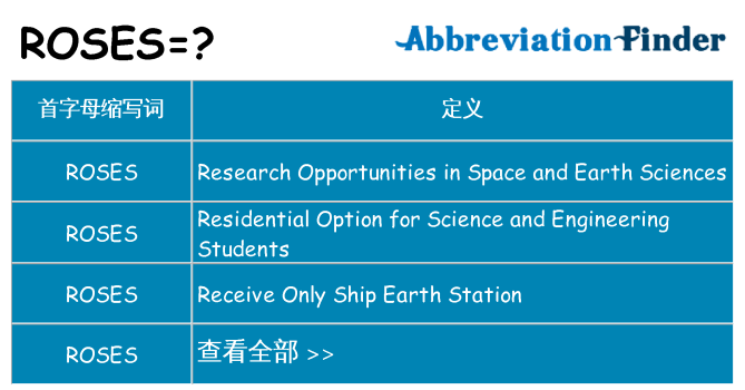roses 代表什么