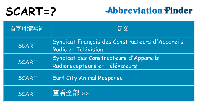 scart 代表什么