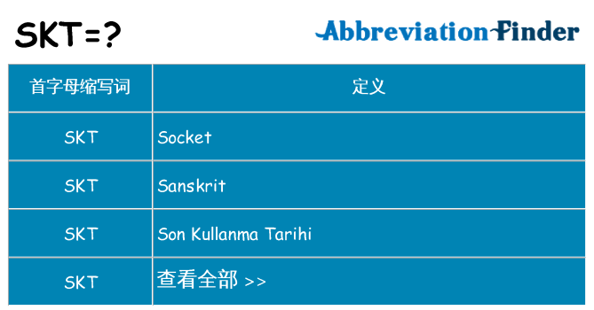 skt 代表什么