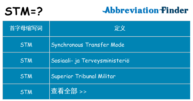 stm 代表什么