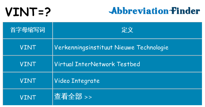 vint 代表什么