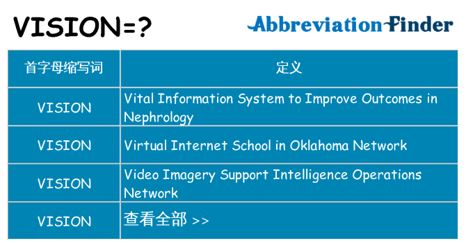 vision 代表什么