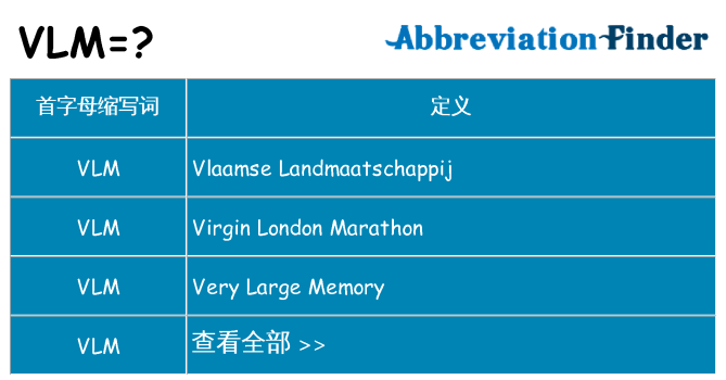 vlm 代表什么