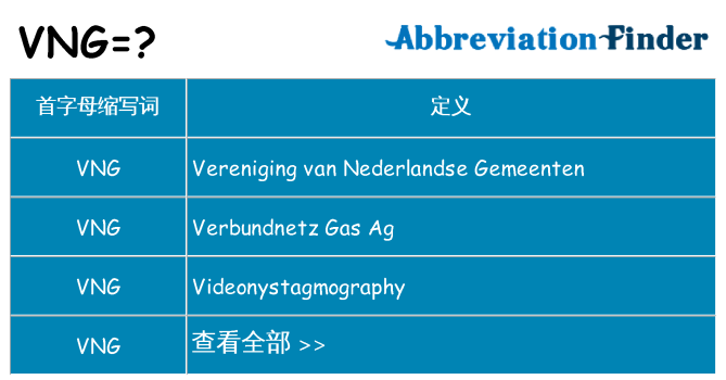 vng 代表什么