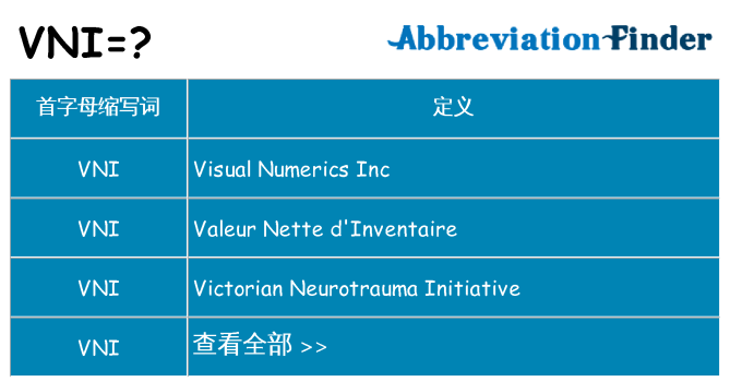 vni 代表什么