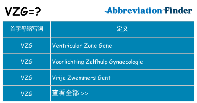 vzg 代表什么