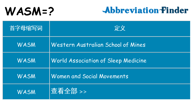 wasm 代表什么