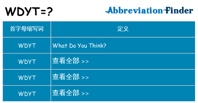 wdyt 代表什么
