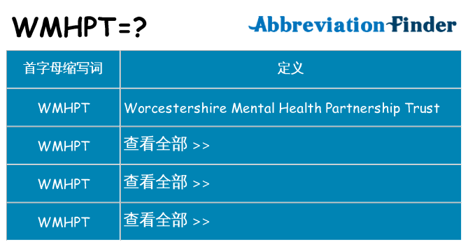 wmhpt 代表什么