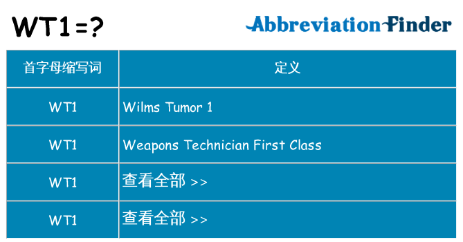 wt1 代表什么