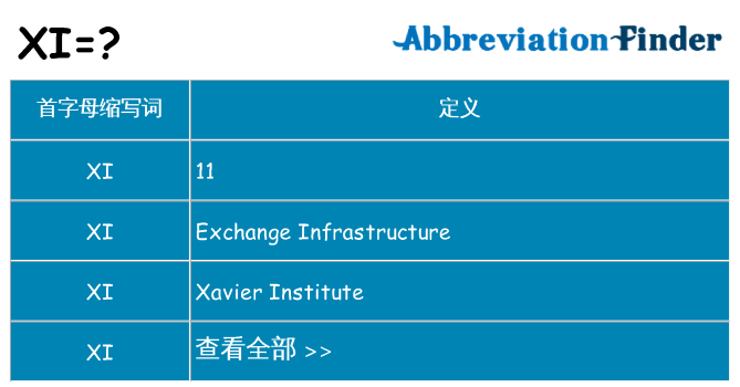 xi 代表什么