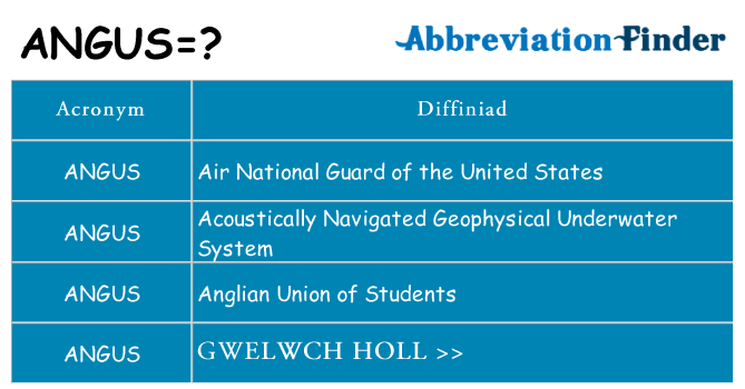 Beth yw safbwynt angus ar gyfer